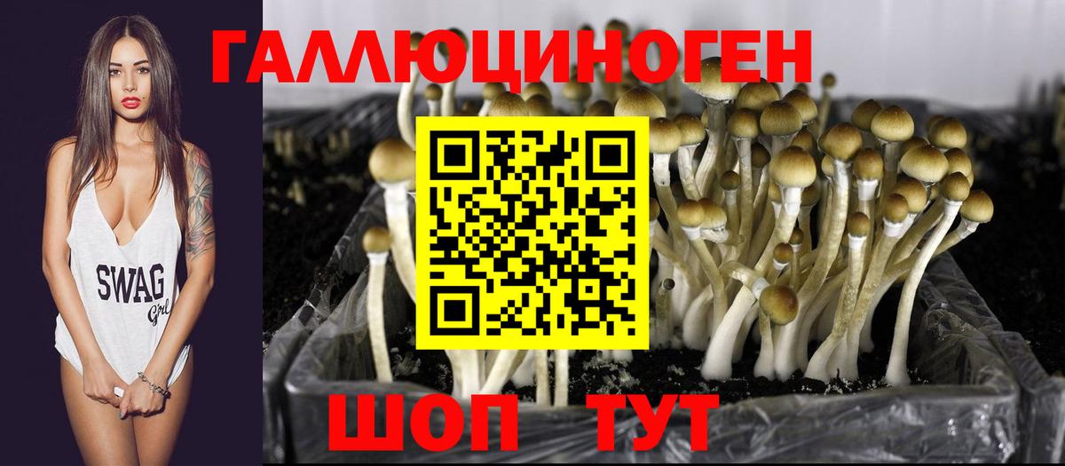 Псилоцибиновые грибы Magic Shrooms Златоуст